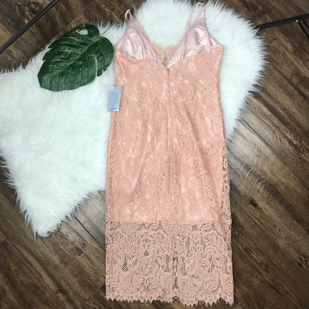 Bardot • Pink Lace Bodycon Pencil Midi Dress - Picture 6 of 8